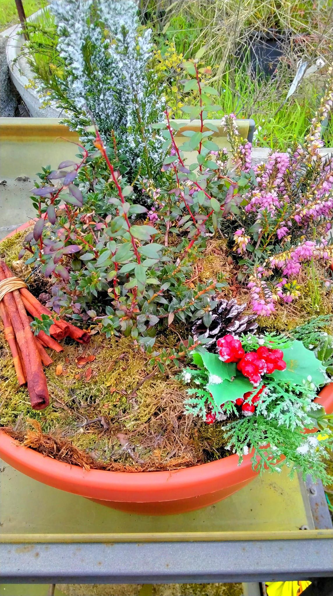 Una ciotola piena di fiori e piante è appoggiata su un tavolo.