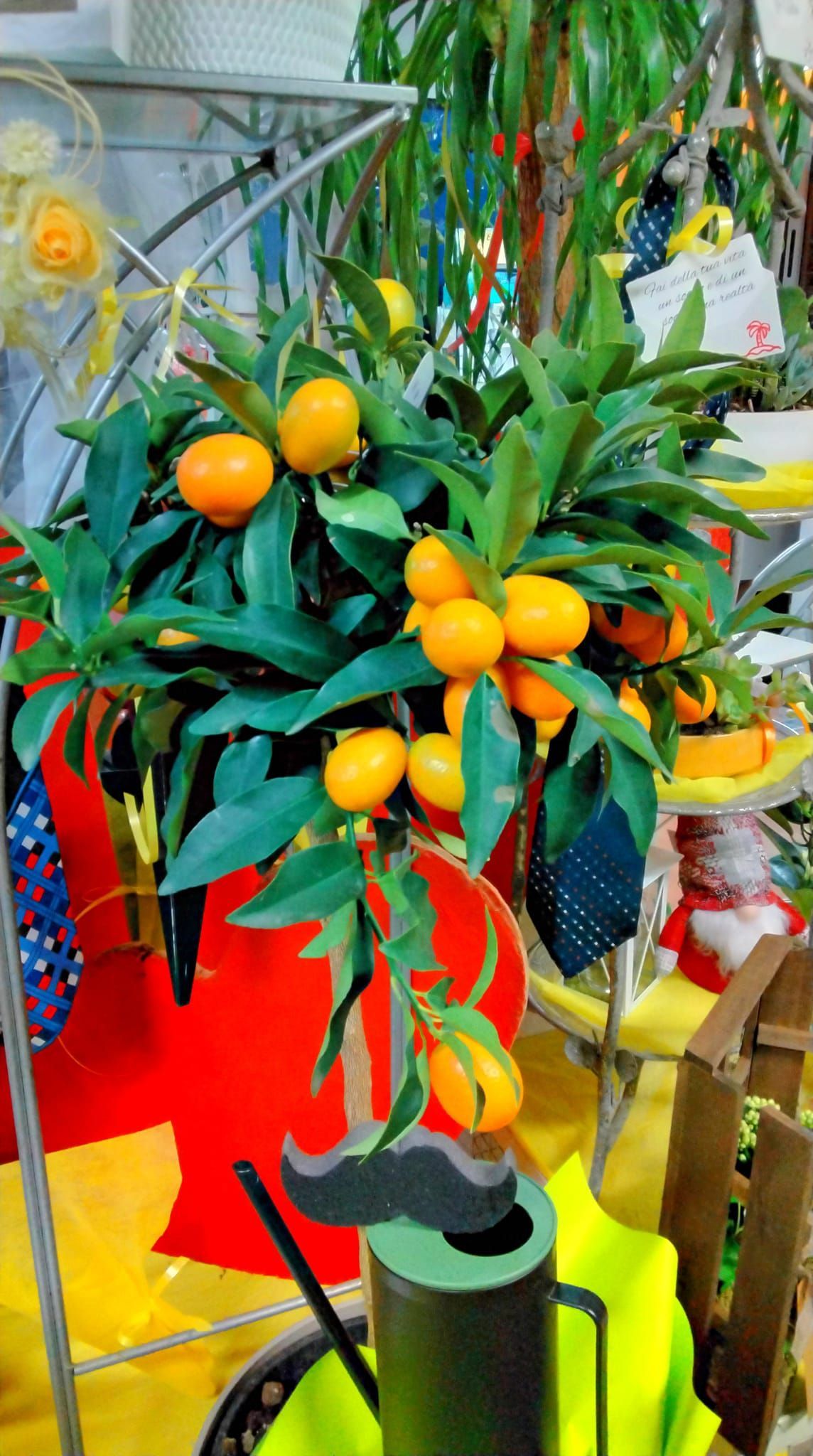 Una pianta con delle arance è appoggiata su un tavolo.