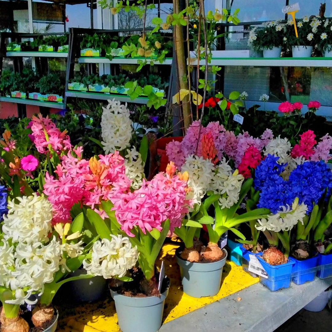 Un mazzo di fiori in vaso è appoggiato su un tavolo