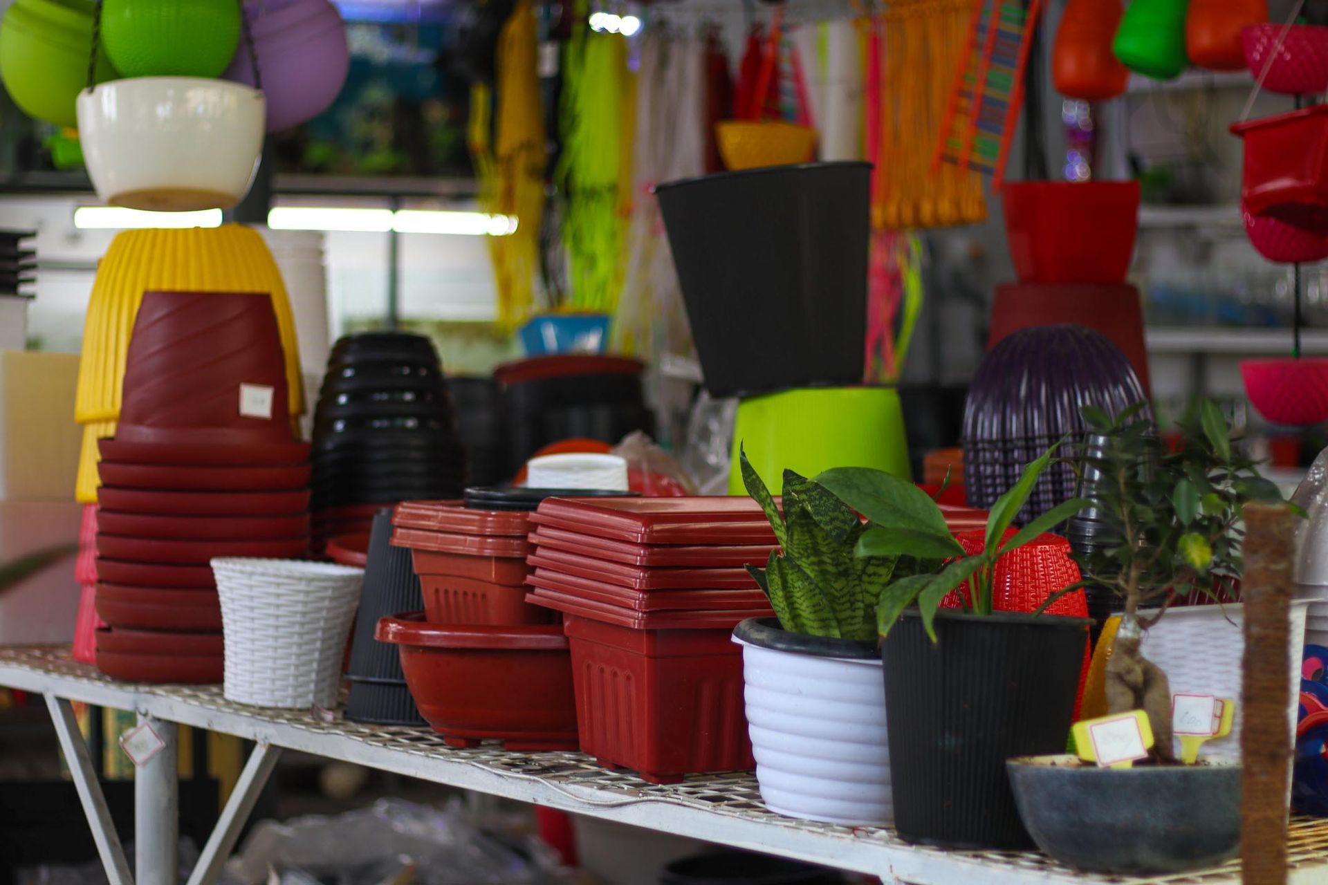 Un mucchio di vasi è appoggiato su uno scaffale in un negozio.