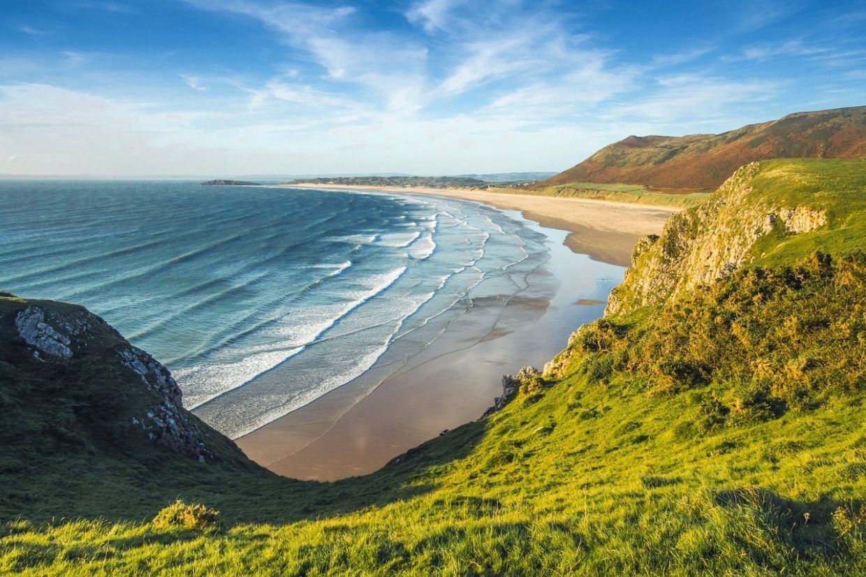 Dangerous Beach Curiosities and What to Do If You Encounter Them