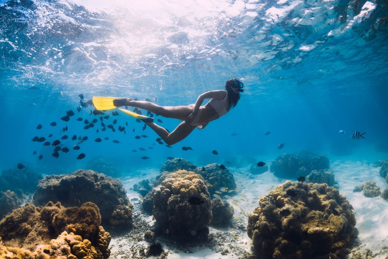 Tricky Situations New Snorkelers May Find Themselves In and What to Do about Them