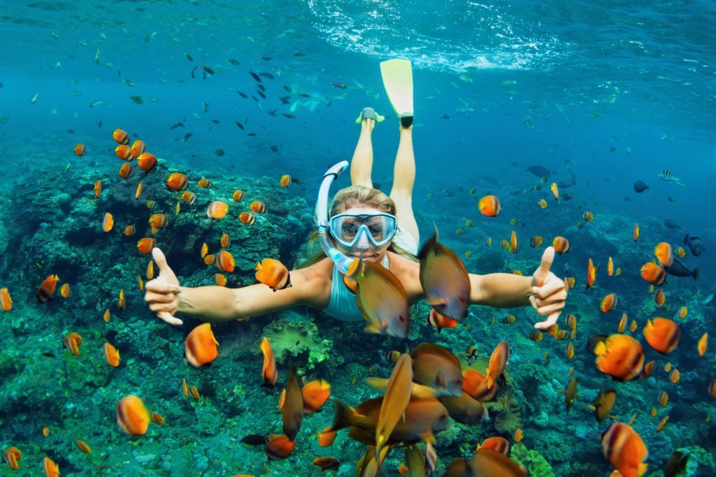 A woman is swimming in the ocean surrounded by fish and giving a thumbs up.