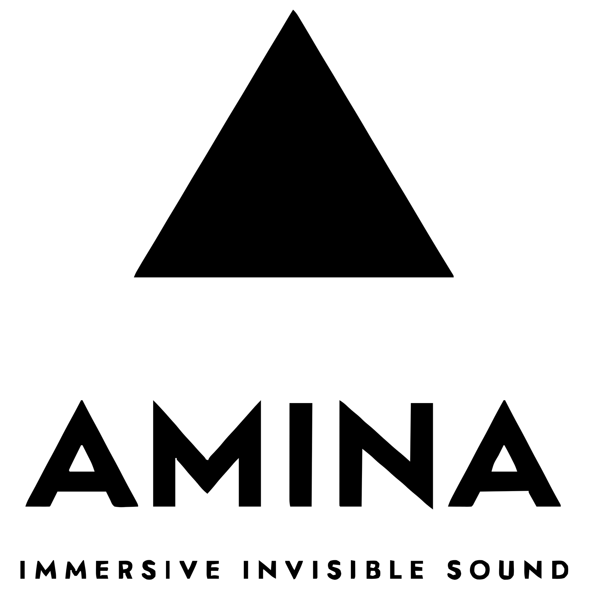 Black triangle above the word AMINA. Below 