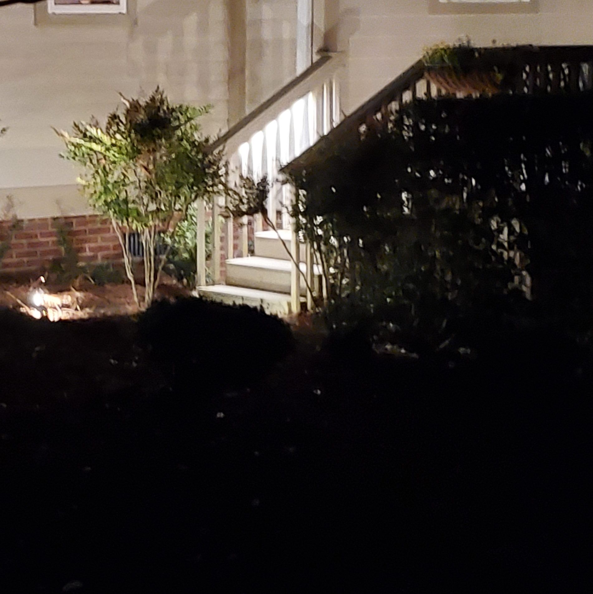Nighttime view of a house entrance with lit stairs and landscaping, a few lit bushes, and a mostly dark foreground.