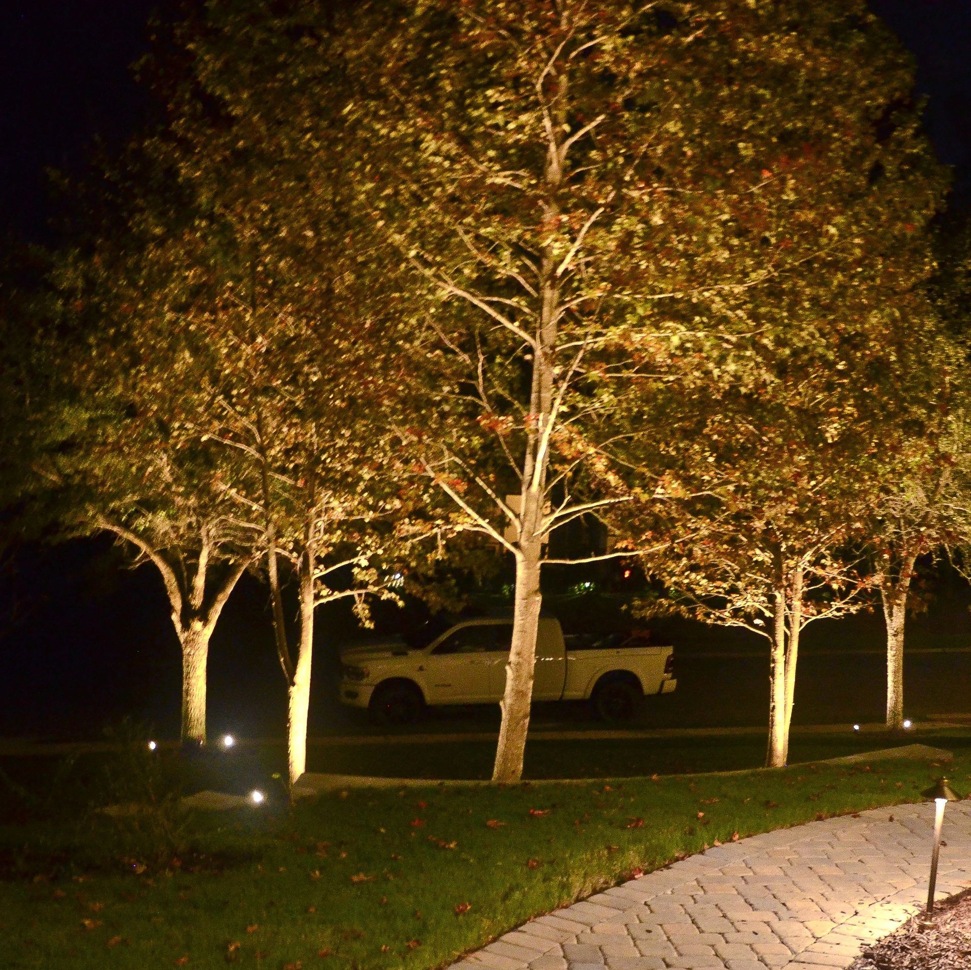 Trees illuminated at night with golden light, casting shadows on a grassy lawn. A pickup truck is parked in the background.