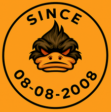 BMW ecu tuning support