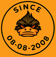 BMW ecu tuning support