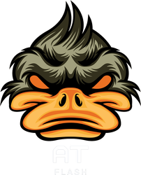 BMW ecu tuning support