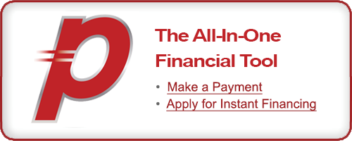 Payzer pay online