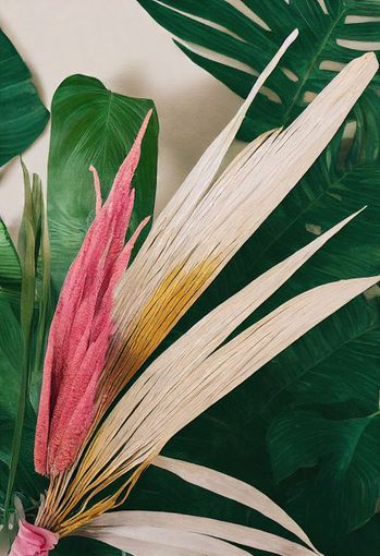 A close up of a flower with leaves in the background