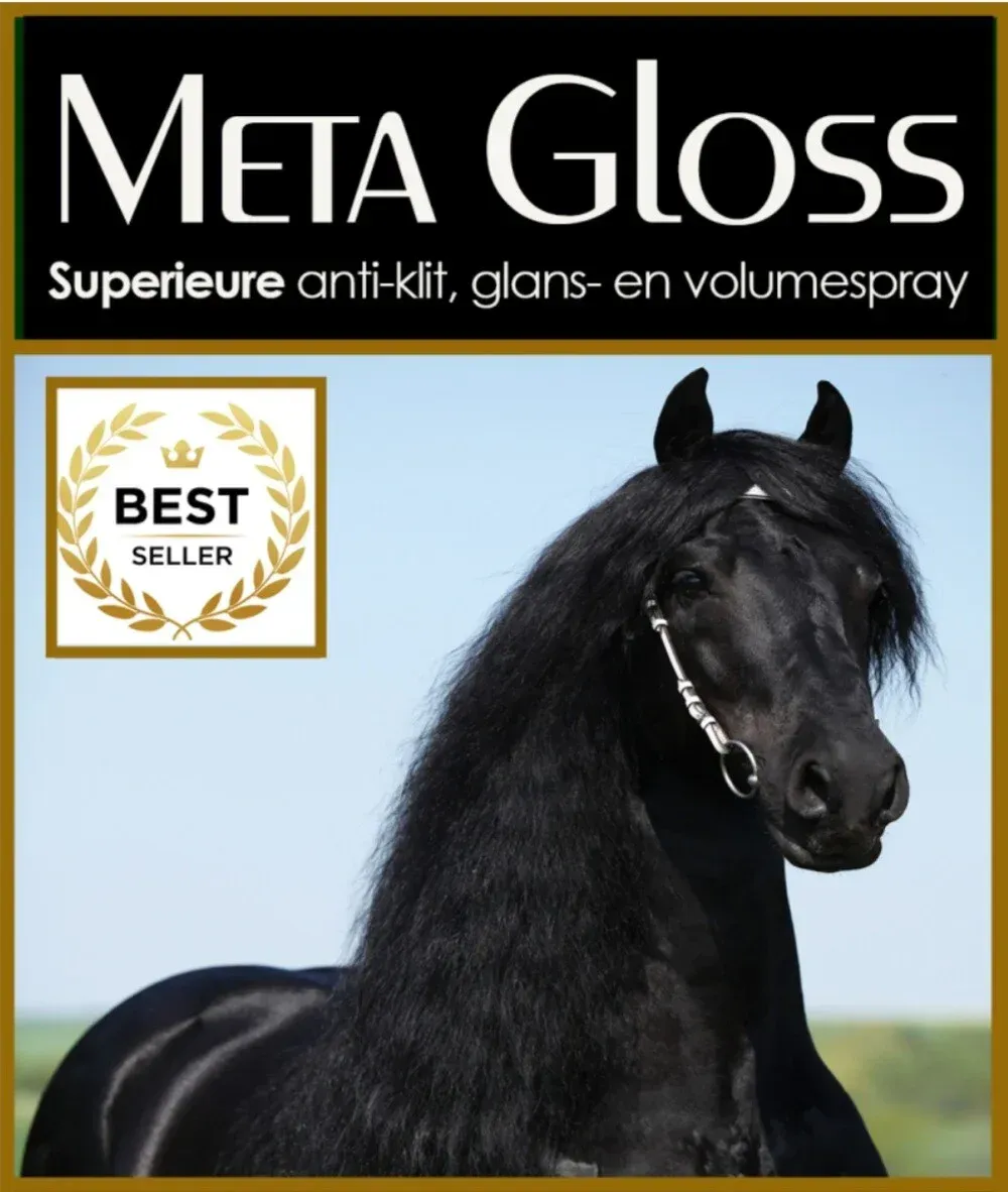 Een foto van een zwart paard met de woorden meta gloss erboven