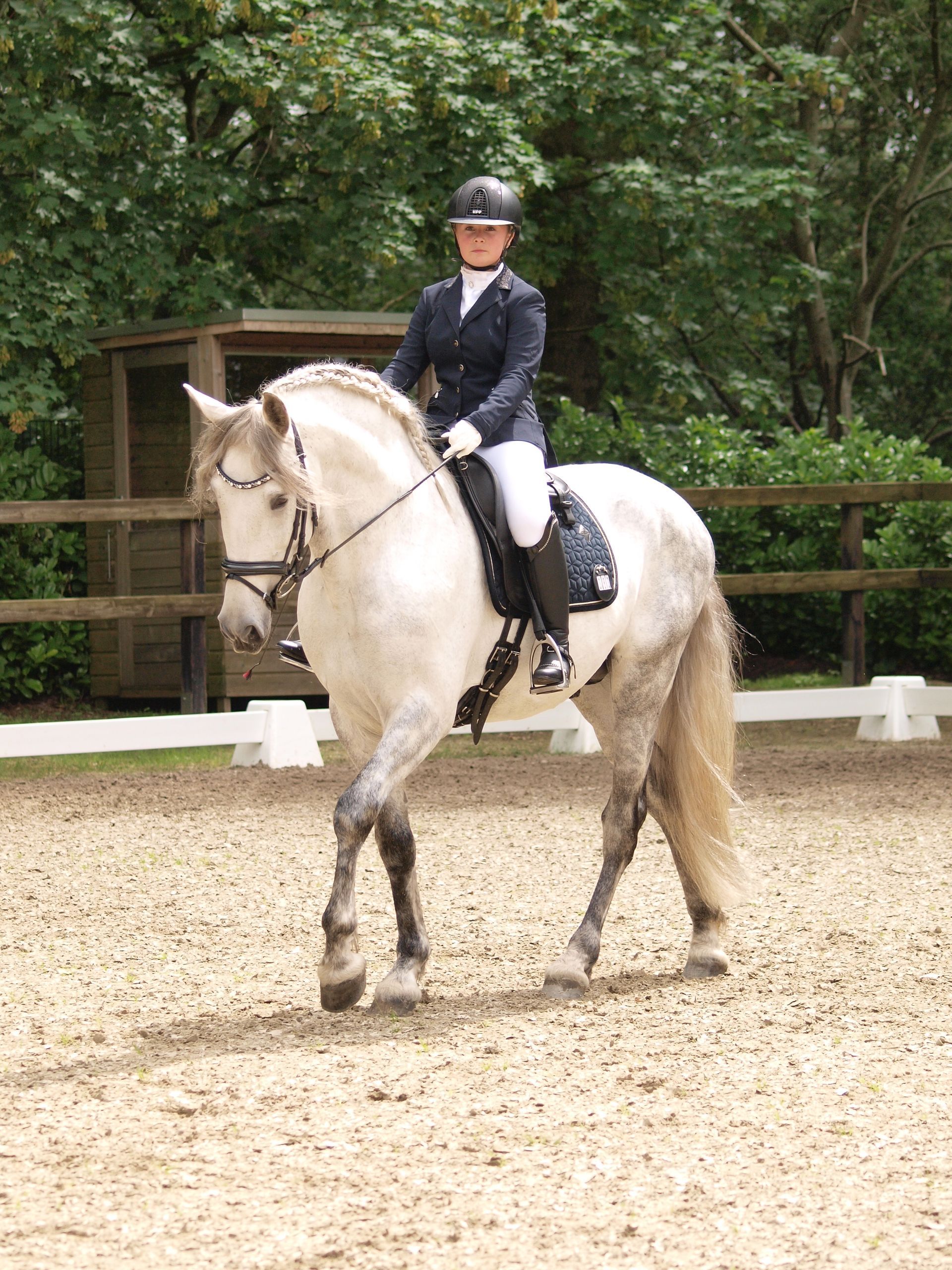 Een vrouw rijdt op een wit paard in een onverharde arena.