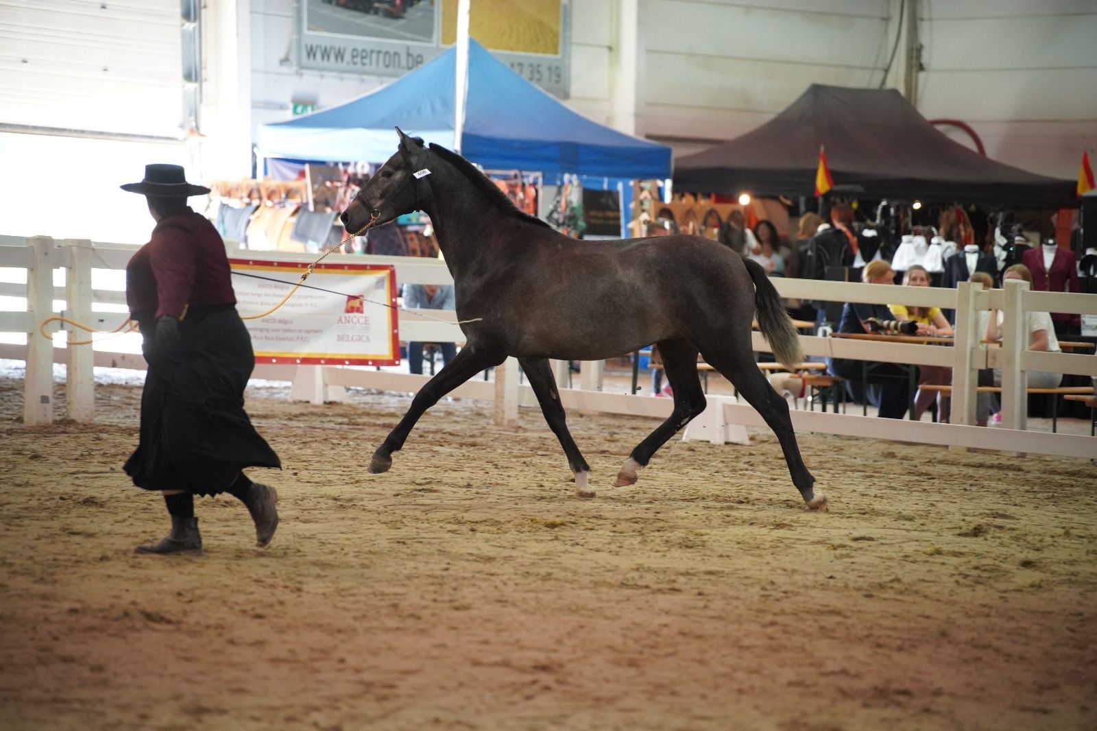 Een vrouw rijdt op een wit paard in een onverharde arena.
