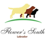 flower's south logo