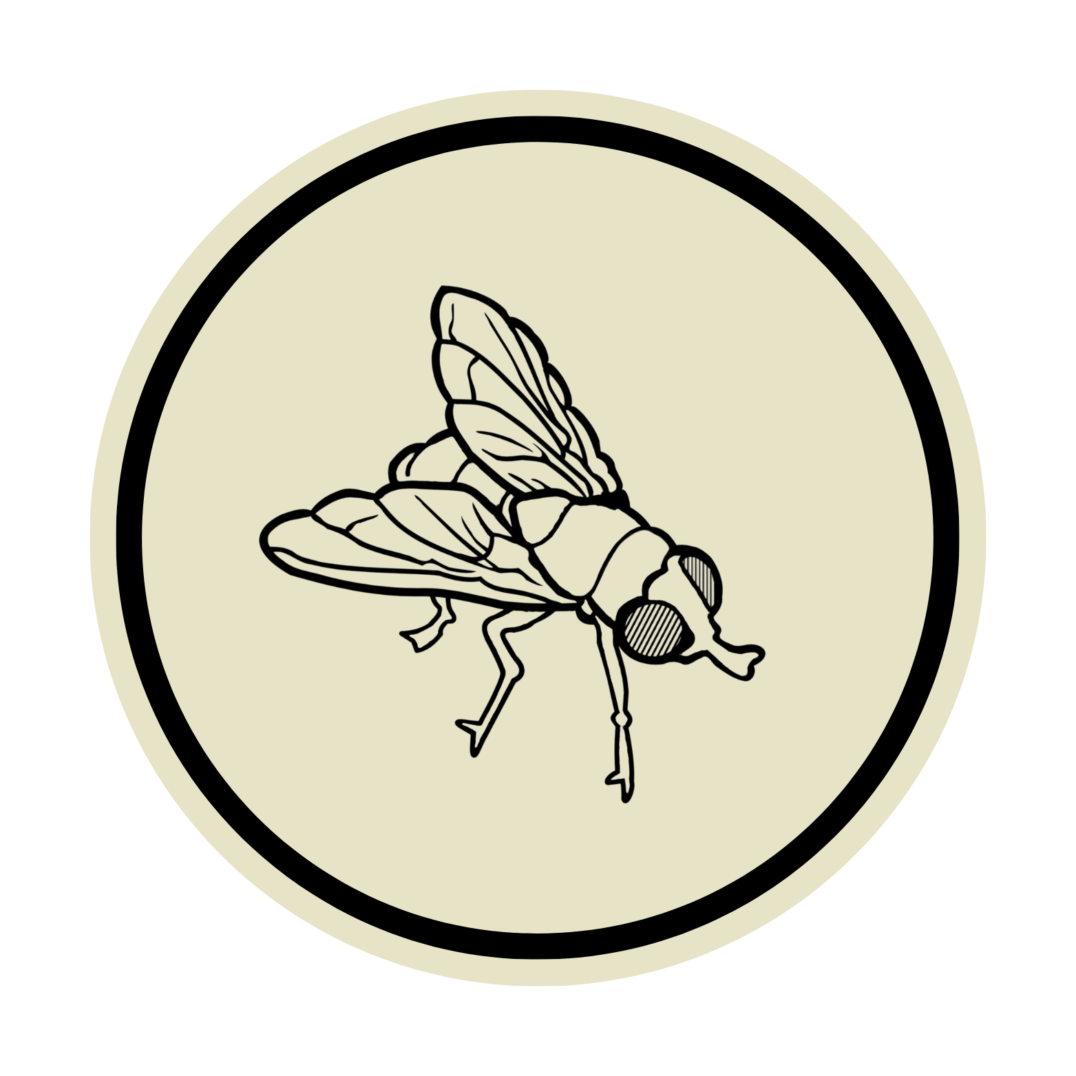 secondary-image