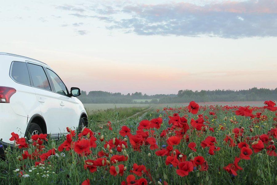 Best Time for Car Maintenance | Wayne's Automotive