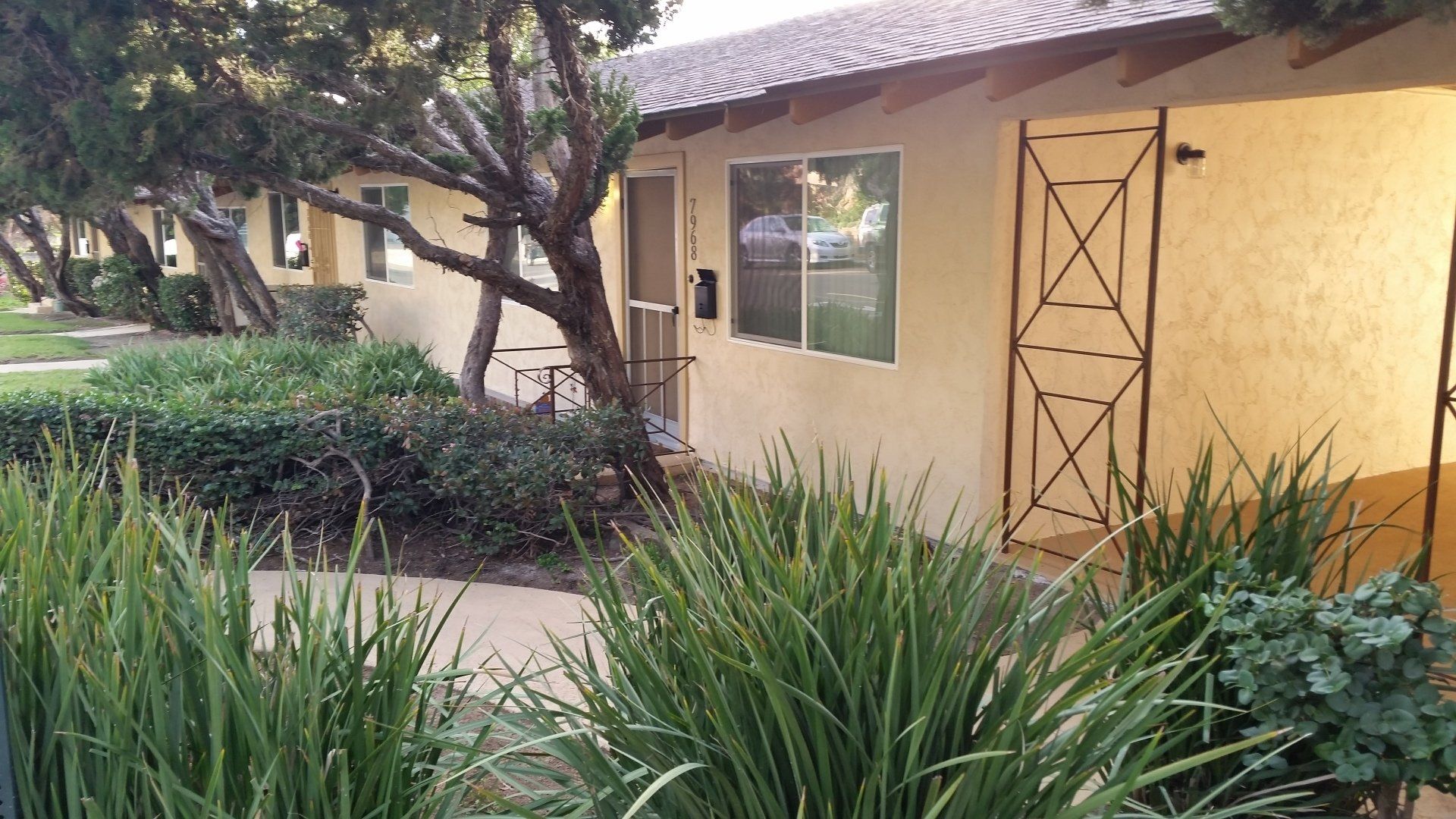 Lemon Normal Gardens Apt