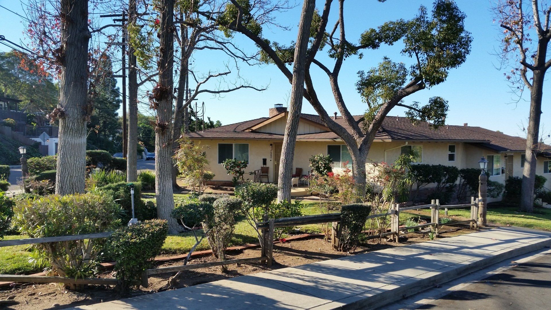 Lemon Normal Gardens Apt