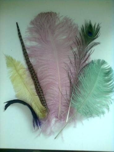 Piume come inserti