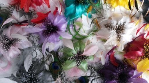 Piume colorate per abbigliamento