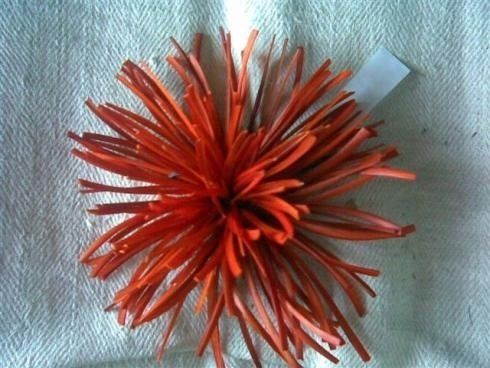 Accessori con le piume