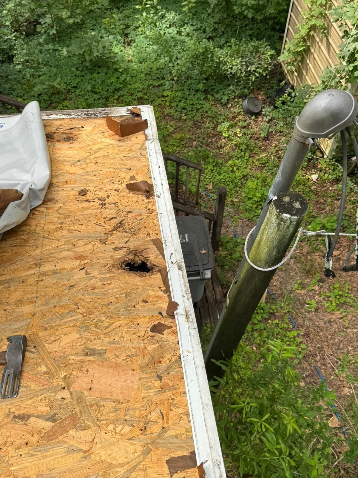 Damaged roof with exposed wood and hole; metal pipe and overgrown foliage in a wooded area.