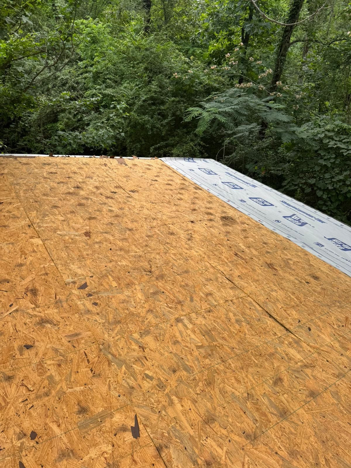 OSB roof sheathing with underlayment, and surrounding trees.