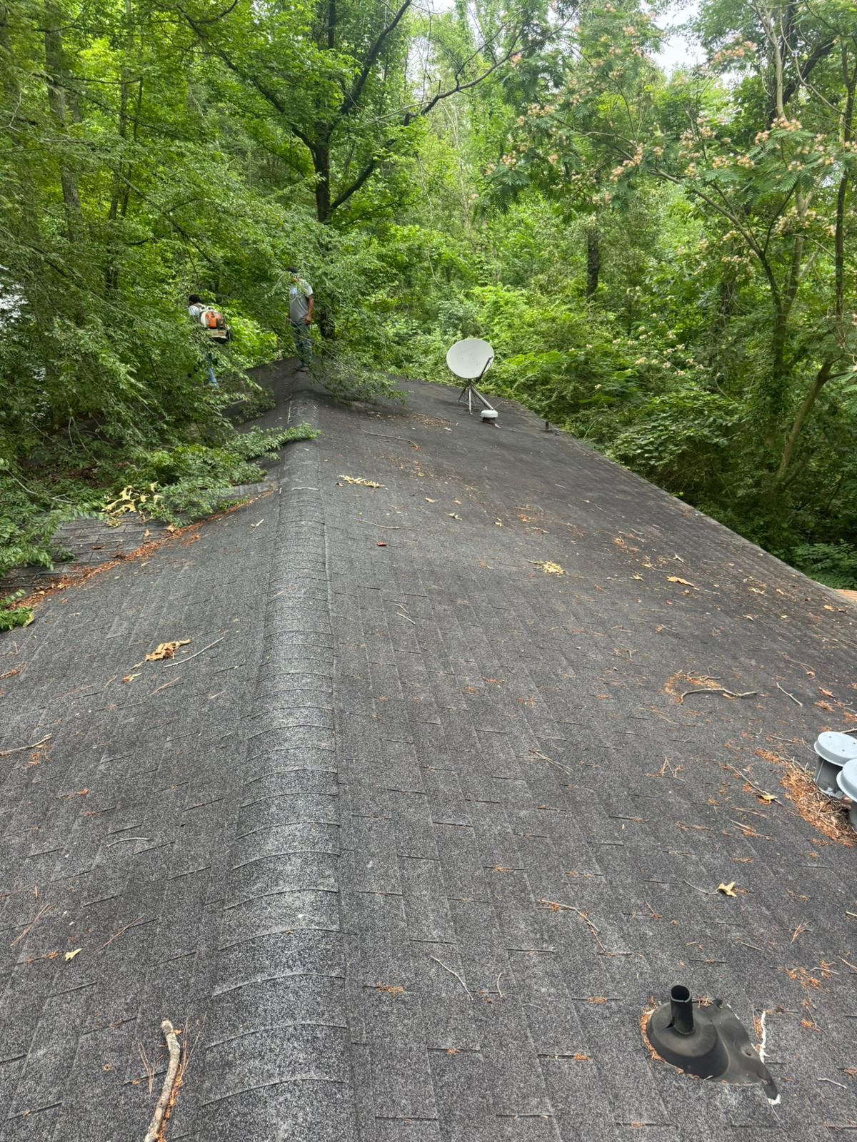 A dark, weathered roof with a satellite dish, surrounded by trees.