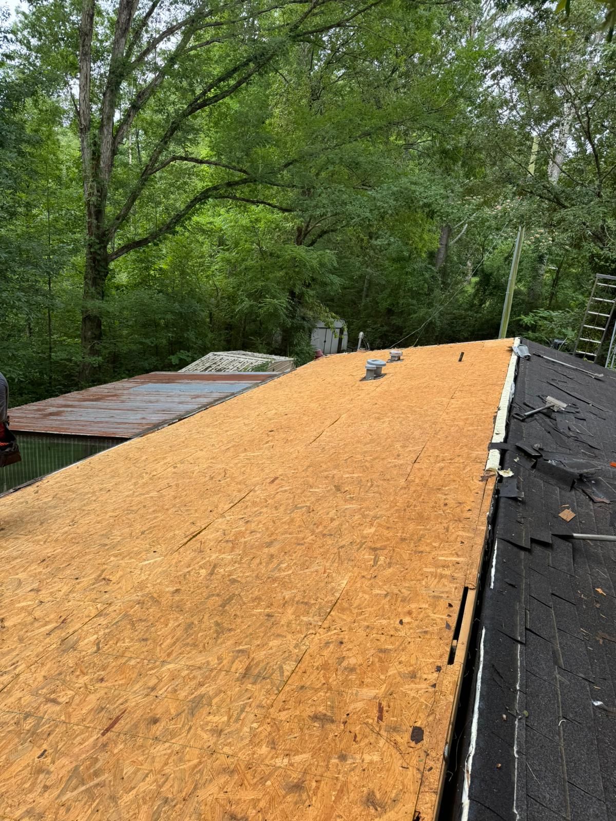 Roof with exposed plywood, partially shingled. Setting is outdoors with trees in the background.