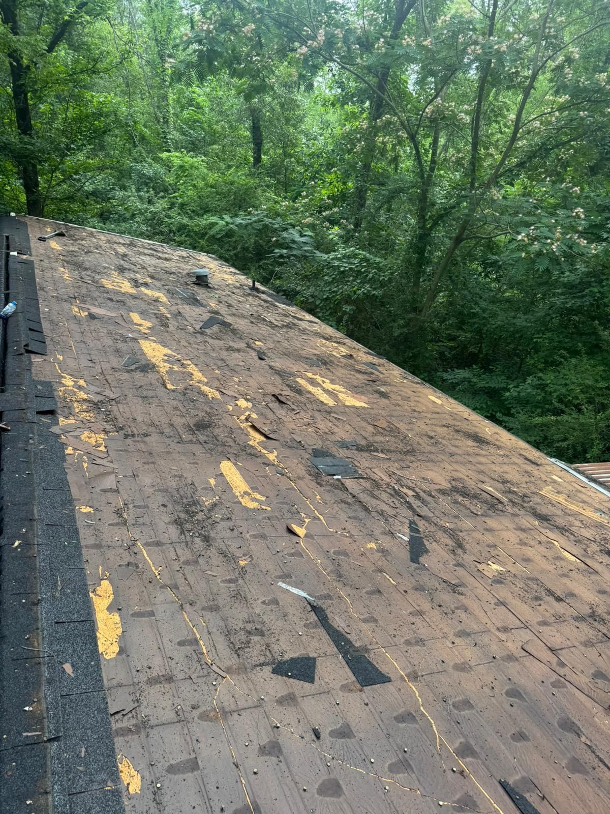 View of a damaged roof with missing shingles and yellow patches, set against a green forest background.