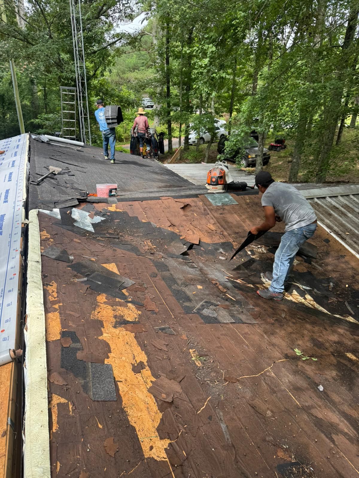 Roofers removing old shingles from a house with trees in the background.