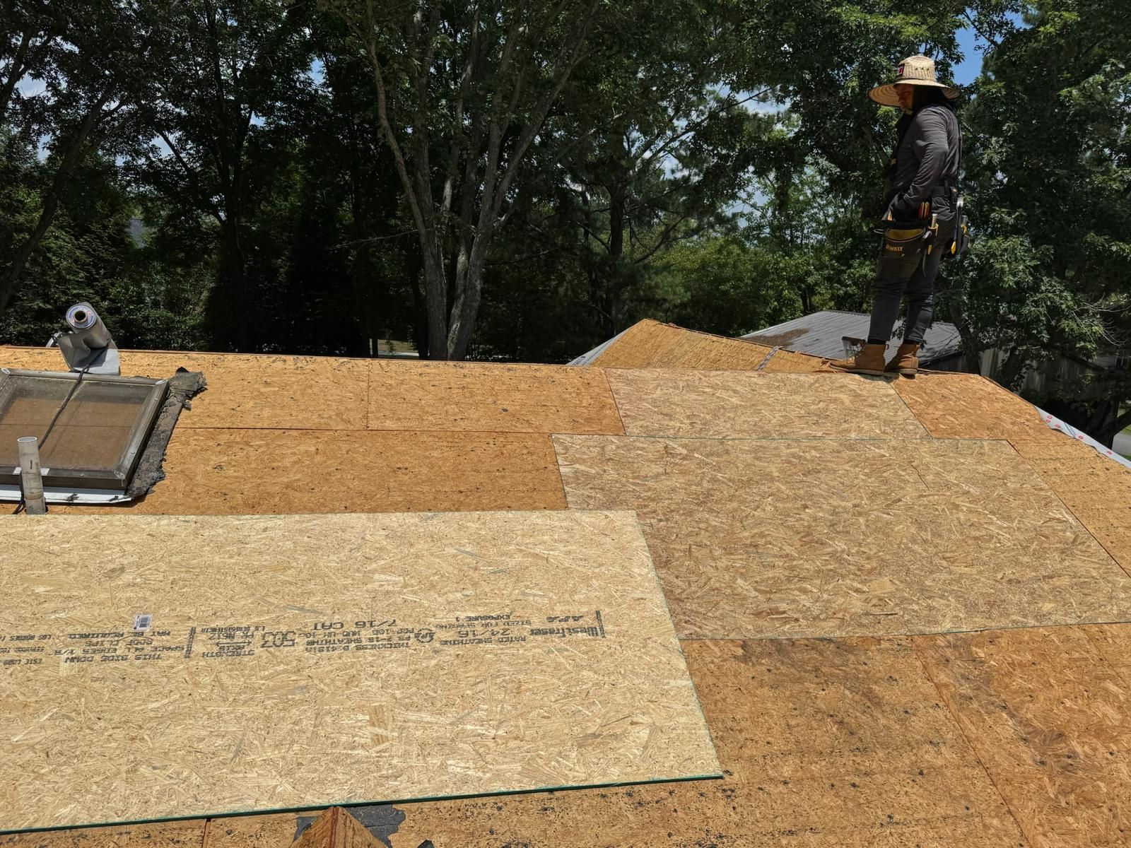 Roofer on a partially re-boarded roof.  Sky light, trees, and wood boards are visible.