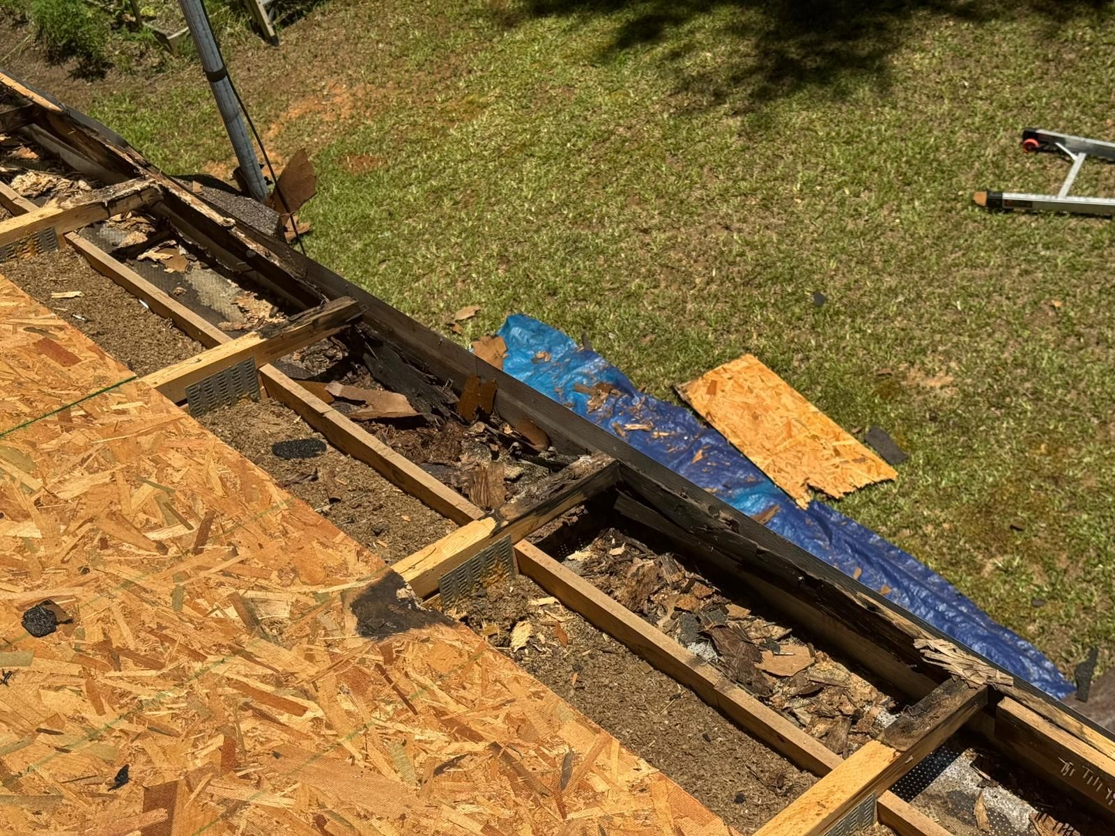 Roof under repair with exposed wooden structure, tarp, and plywood on a grassy background.