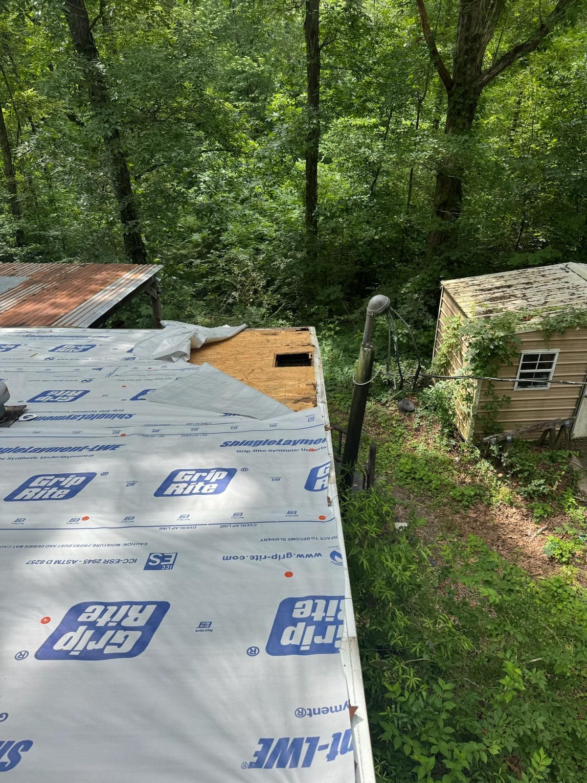 A partially re-roofed structure with a forest backdrop. Tar paper and wooden boards are visible. A small shed is nearby.