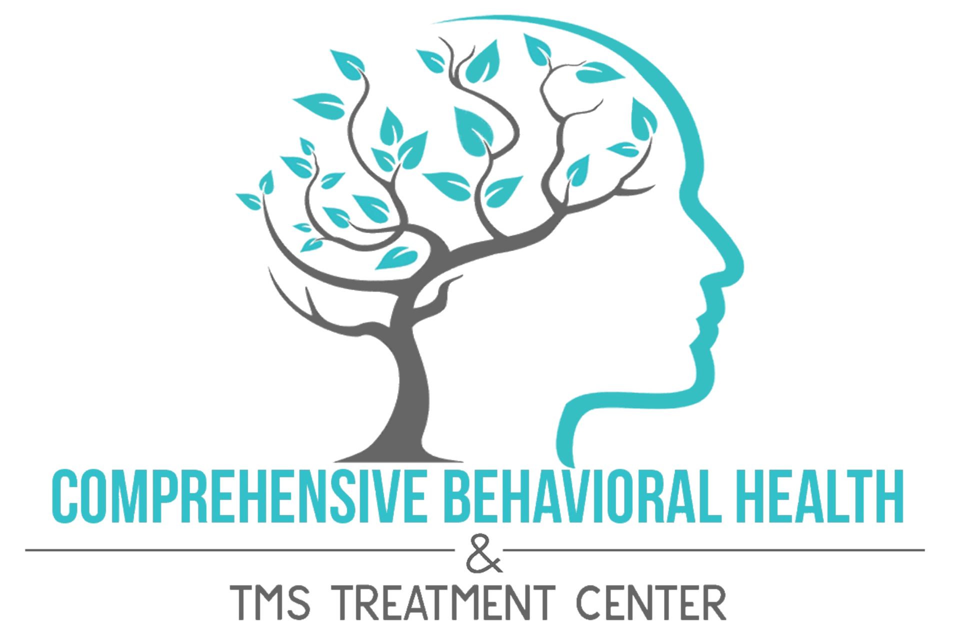 Comprehensive Behavioral Health
