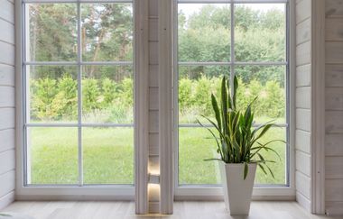 A potted plant is sitting in front of a large window.
