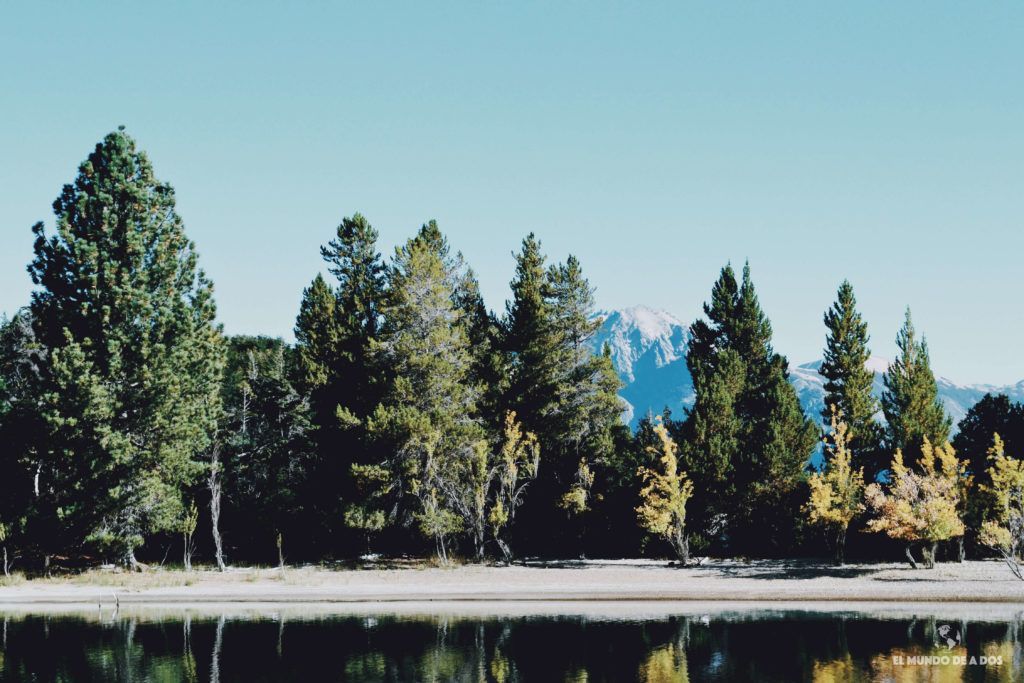 Un lago rodeado de árboles con montañas al fondo.