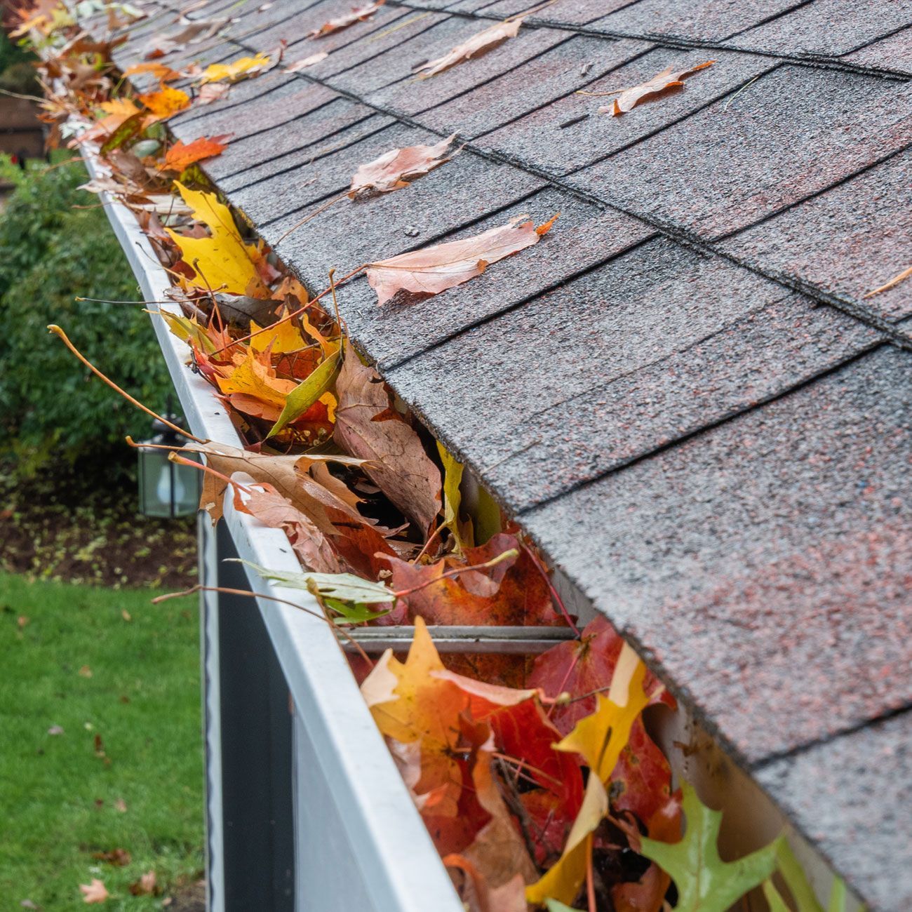 A gutter filled with leaves on the roof of a house.