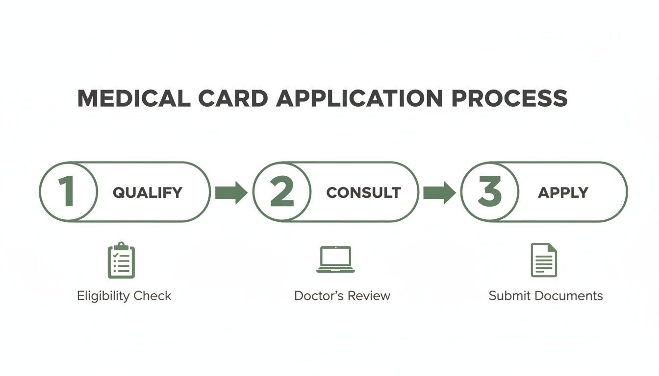 Medical card application process: Qualify (eligibility check), Consult (doctor's review), Apply (submit documents).