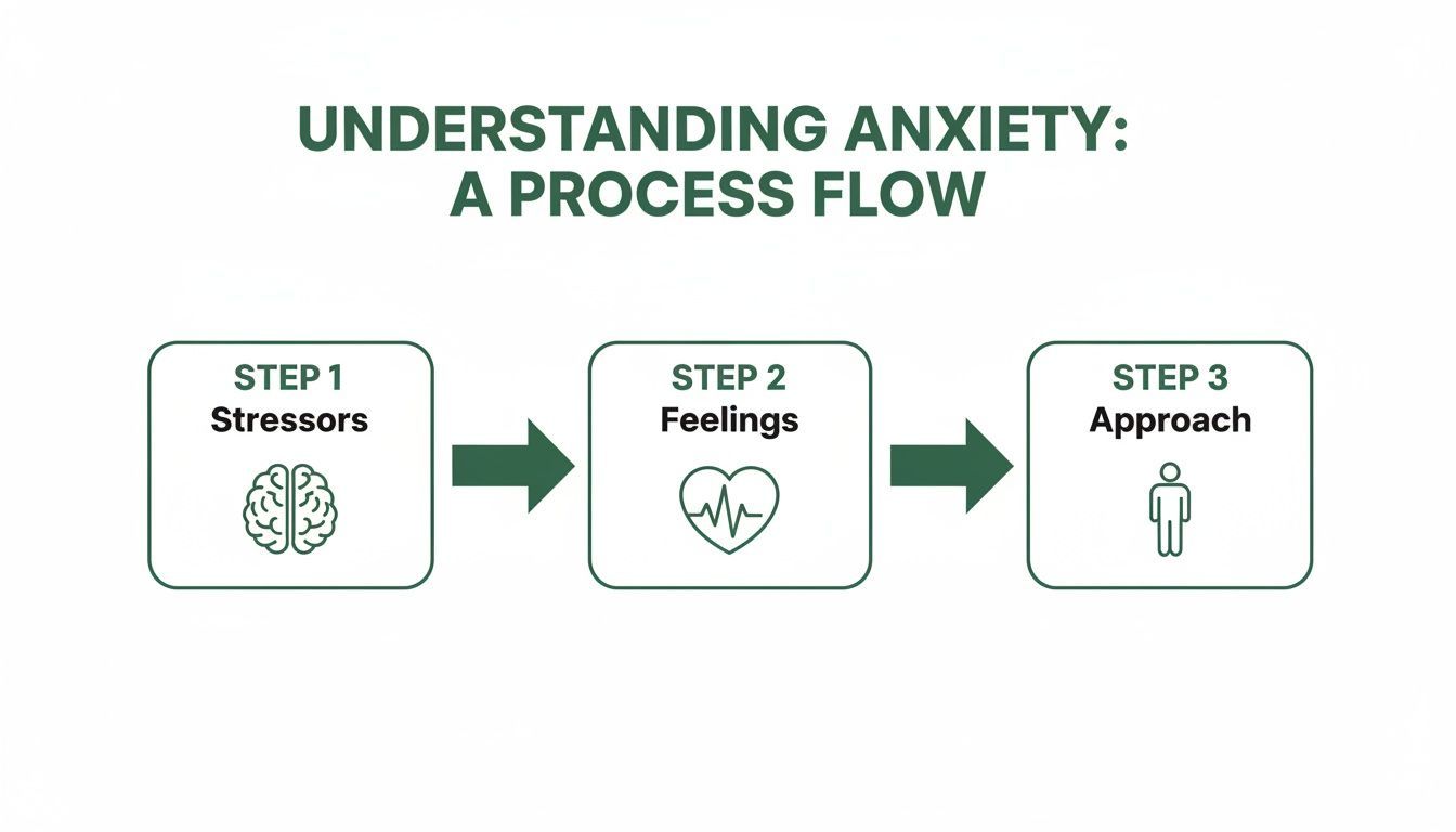 Process flow: Stressors to Feelings to Approach, with icons for each step.