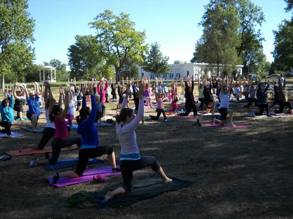 A group of people are doing yoga in a park