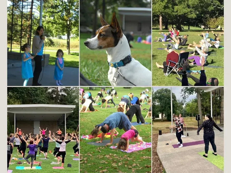A collage of photos of people doing yoga in a park