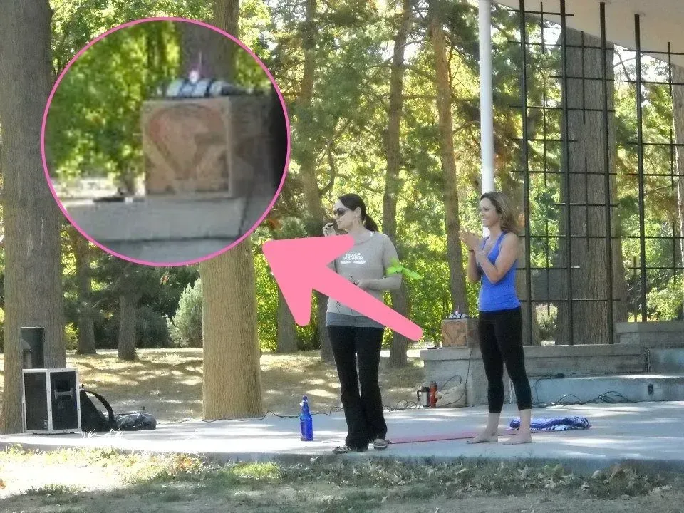 A pink arrow points to a box in the woods