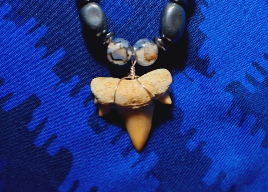 Shark Tooth necklace