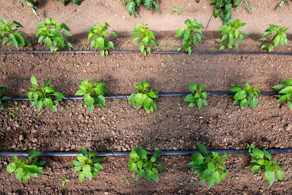impianti di irrigazione per orti