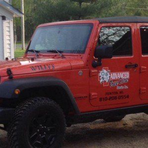 Trimming Plants — Tree Company in Fenton, MI Trimming Plants — Tree Company in Fenton, MI