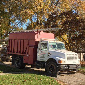 Small Seedlings — Tree Company in Fenton, MI Small Seedlings — Tree Company in Fenton, MI