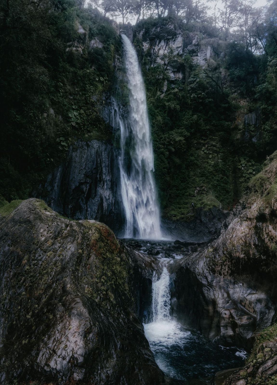 Una alta cascada cae en cascada sobre rocas oscuras hacia una poza en el bosque.