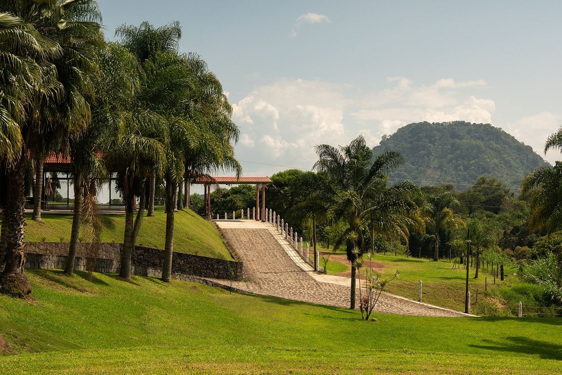 Un parque verde y exuberante con palmeras, una escalera de piedra y una colina a lo lejos bajo un cielo parcialmente nublado.